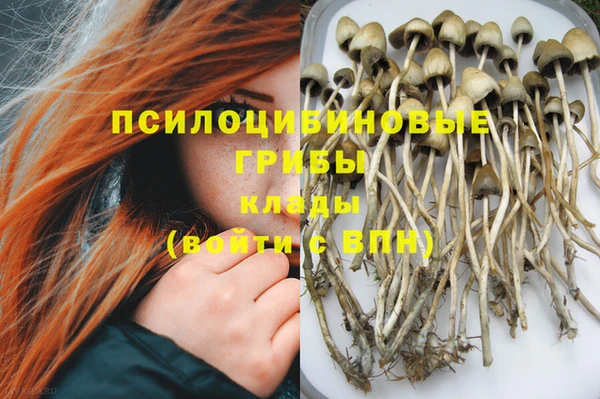 эйфоретик Куйбышев