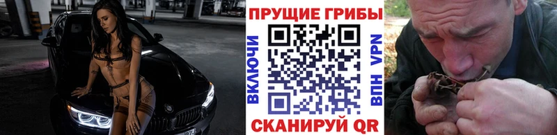 omg как зайти Тимашёвск Галлюциногенные грибы Cubensis